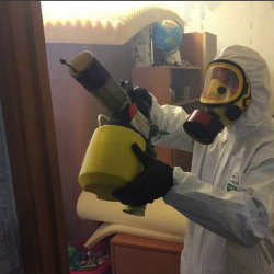 Уничтожение клопов в квартире. Фатеж